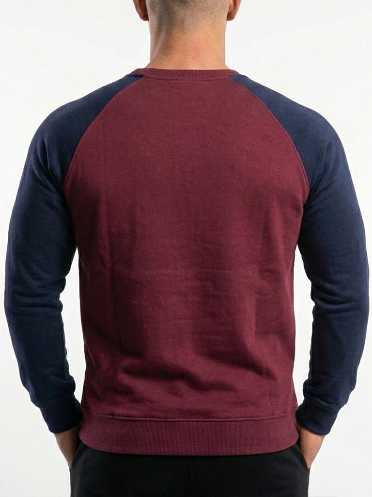 Raglan Navy Sleeves Sweatshirt